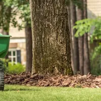 lawn care, fertilizing lawn